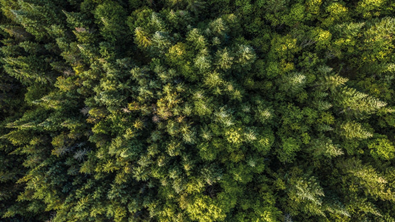 UPM Raflatac RAFNXT+ gets sustainability approval UPM Raflatac RAFNXT+ gets sustainability approval