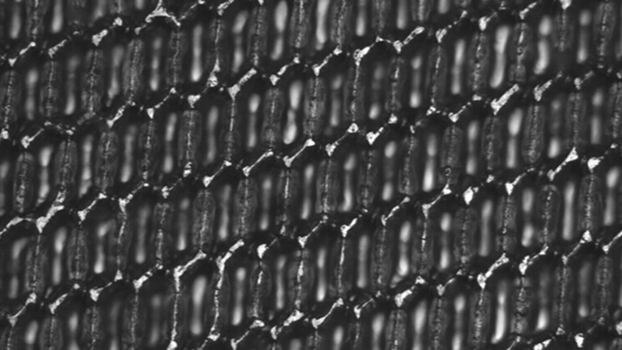 Zecher’s SteppedHex technology Zecher’s SteppedHex technology