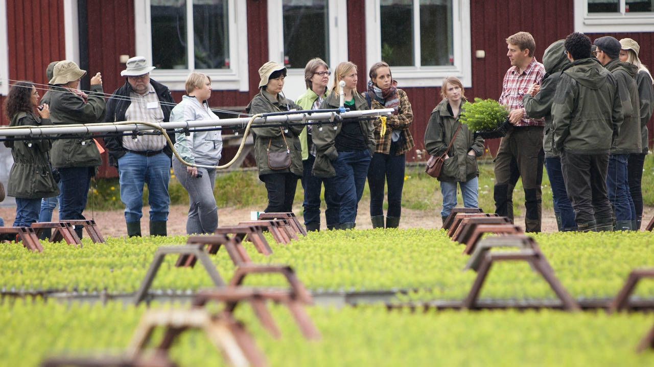 Iggesund invites designers to 2013 Design Experience