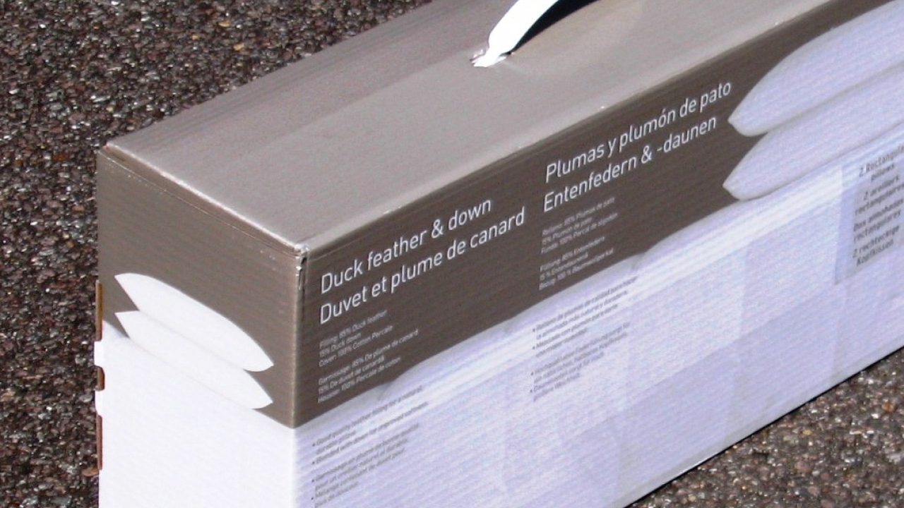 Vigilance uncovers forgery Vigilance uncovers forgery