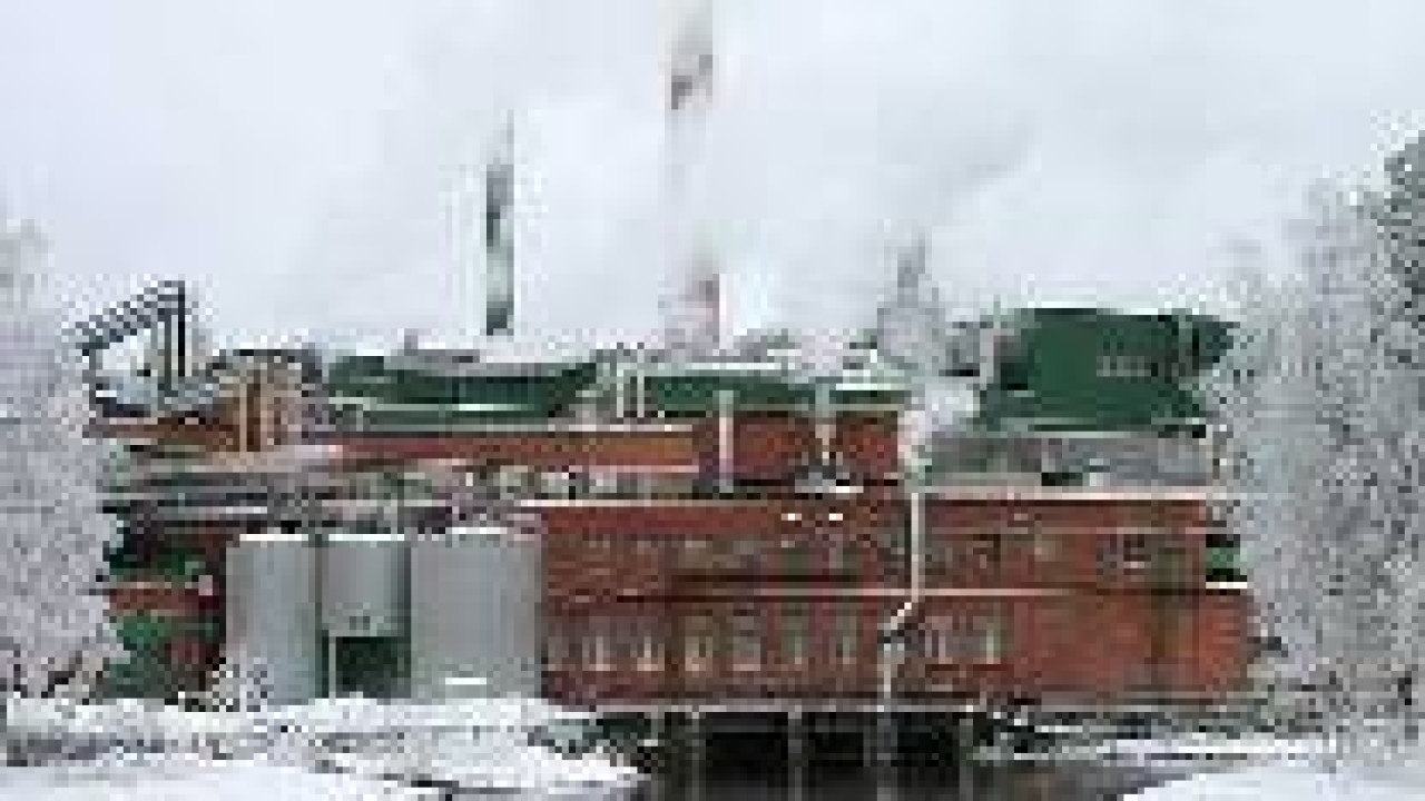 M-real predicts growing demand for forest fibre products M-real predicts growing demand for forest fibre products