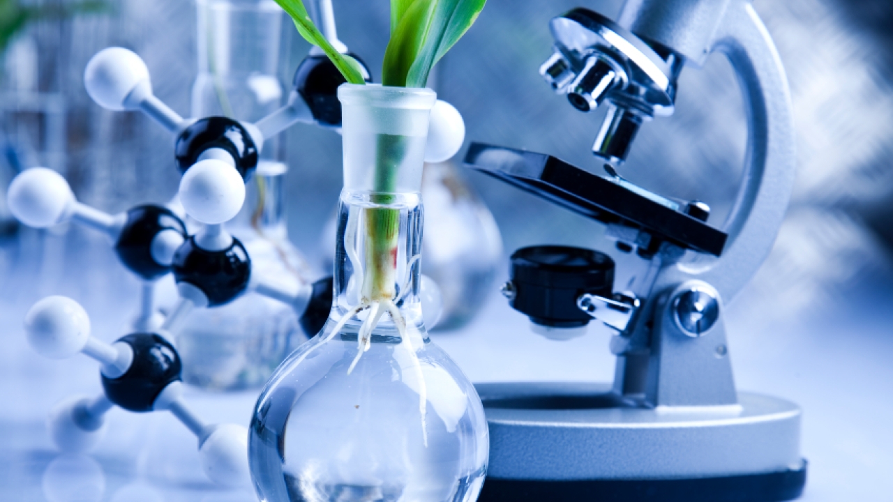A research project led by Biome Bioplastics has demonstrated the feasibility of extracting organic chemicals from lignin for the manufacture of bioplastics A research project led by Biome Bioplastics has demonstrated the feasibility of extracting organic chemicals from lignin for the manufacture of bioplastics