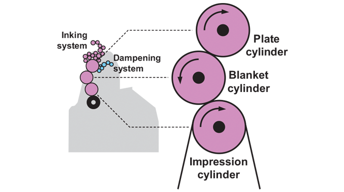 Figure 4.6 - Location of plate, blanket and impression cylinder (4impression)
