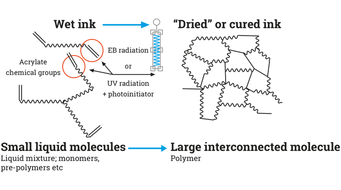 Figure 4.6 UV ink polymerization process