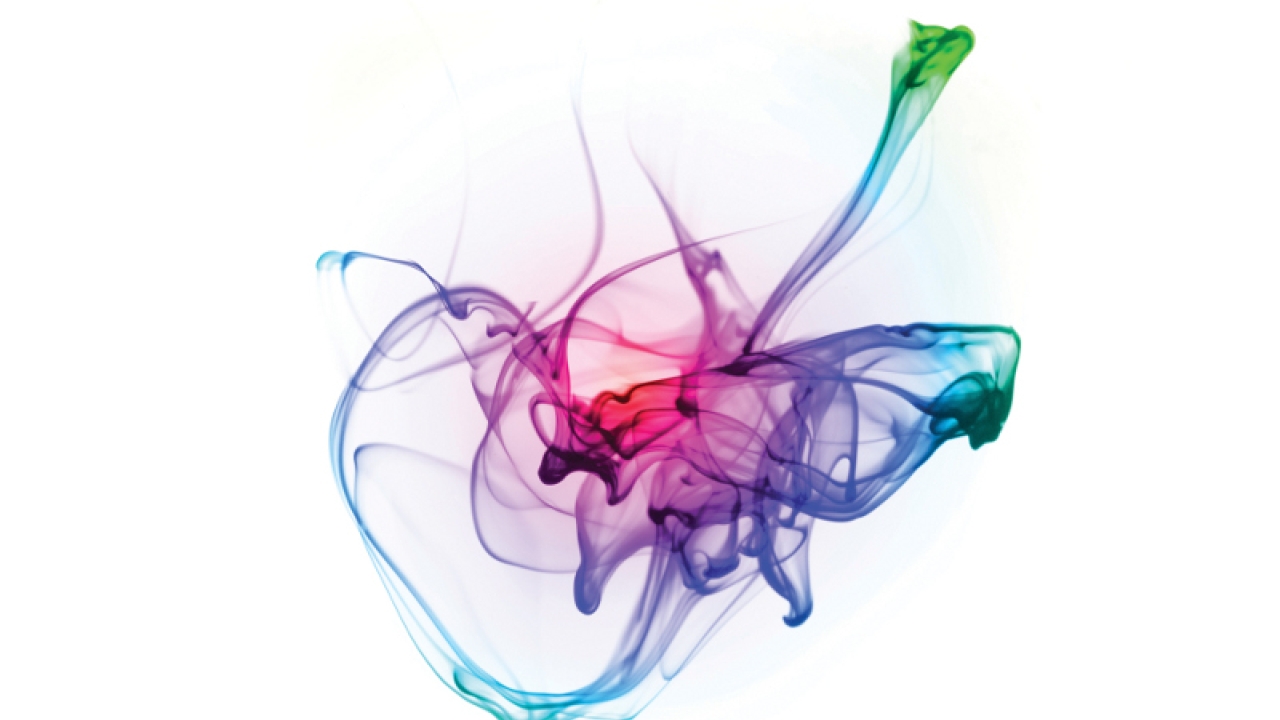 The low migration story The low migration story