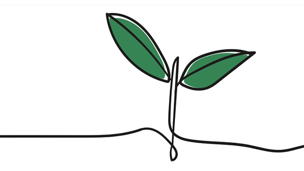 Committing to improvement Committing to improvement